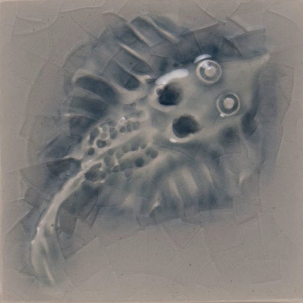 Pratt and Larson Tile 2×2 Skate WW5   Pratt + Larson   