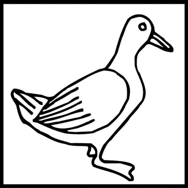 Pratt and Larson Tile LJ FDUC   Pratt + Larson   