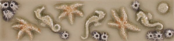 Pratt and Larson Tile 2×8 Marinelife WW40   Pratt + Larson   