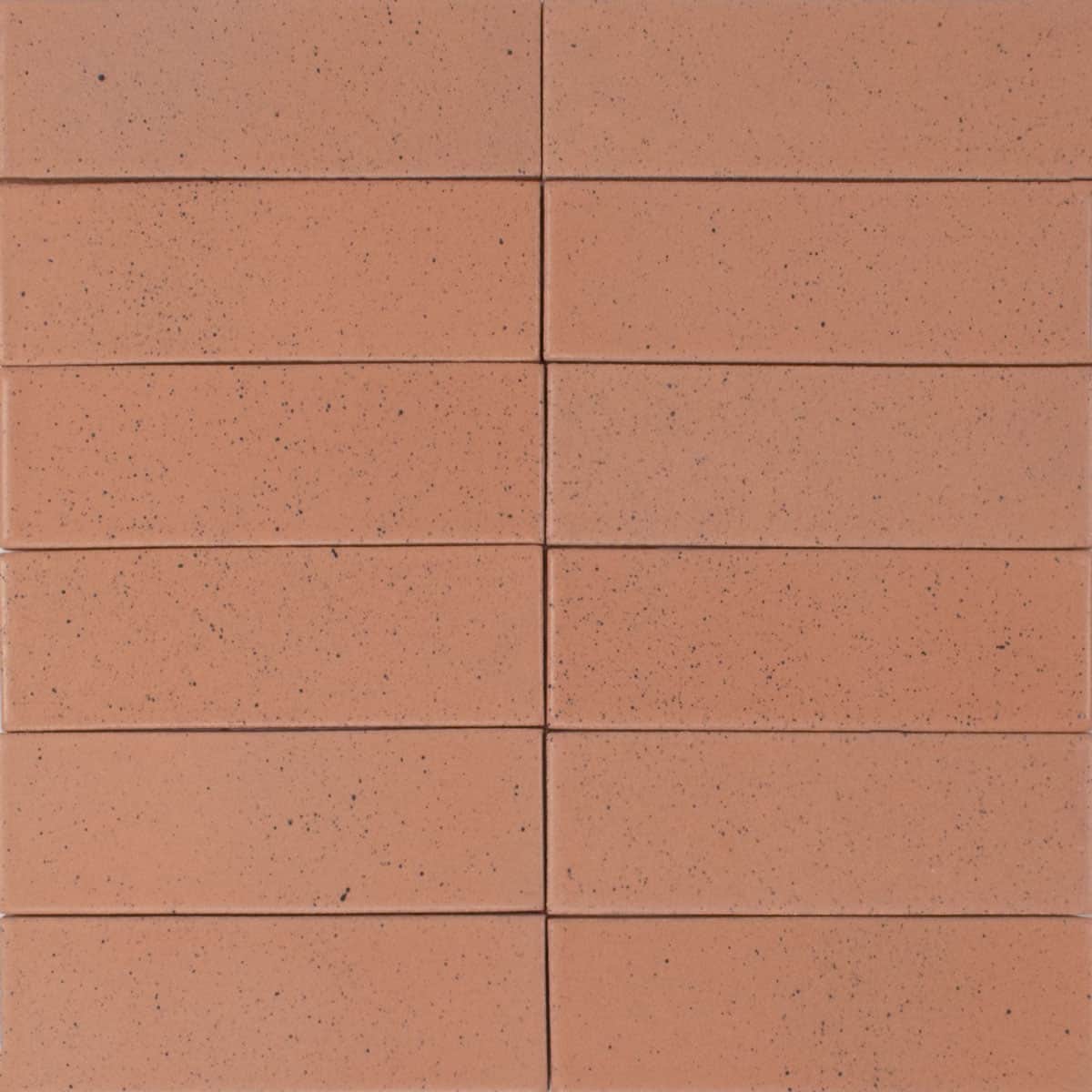 Kat + Roger Coral   Pratt + Larson   