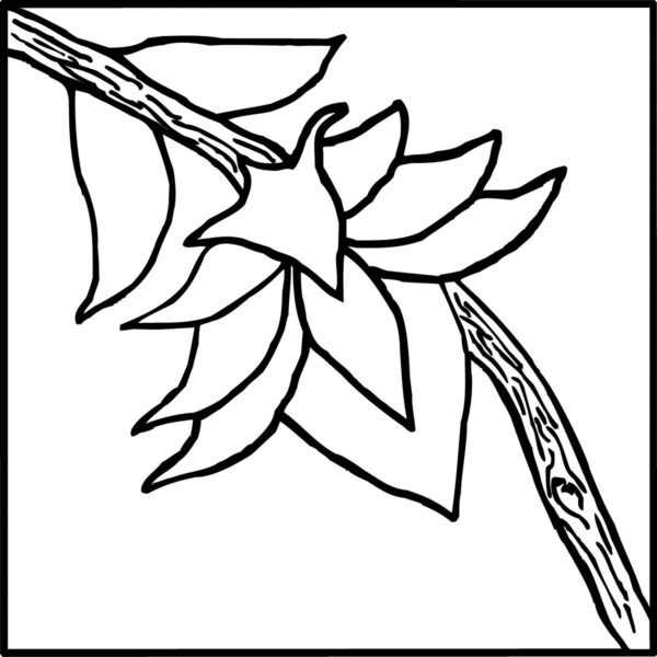 Pratt and Larson Tile VR FLOA   Pratt + Larson   