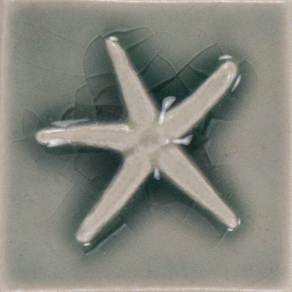 Pratt and Larson Tile 2×2 Starfish W7   Pratt + Larson   