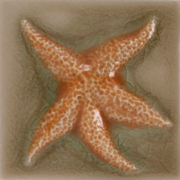 Pratt and Larson Tile 4×4 Marine Starfish WW40   Pratt + Larson   