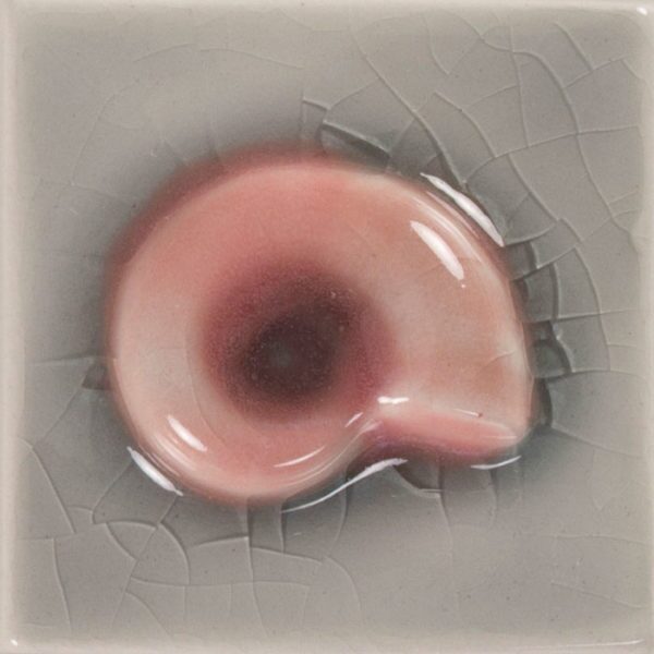 Pratt and Larson Tile 2×2 Snail WW87   Pratt + Larson   