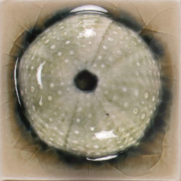 Pratt and Larson Tile 2×2 Urchin WW40   Pratt + Larson   