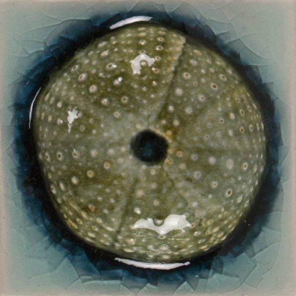 Pratt and Larson Tile 2×2 Urchin WW60   Pratt + Larson   