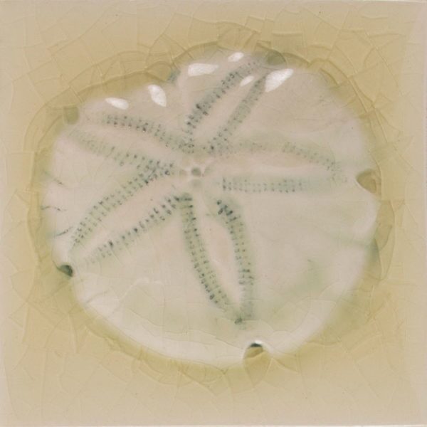 Pratt and Larson Tile 4×4 Marine Sanddollar WW20   Pratt + Larson   