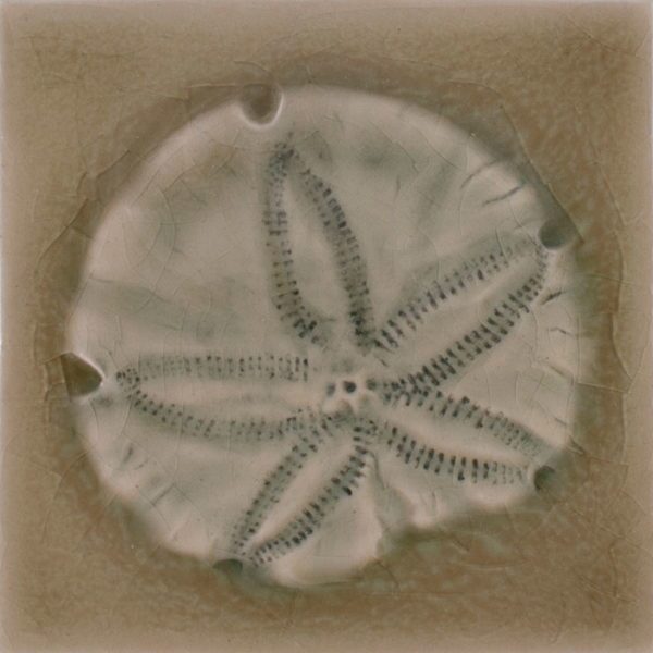 Pratt and Larson Tile 4×4 Marine Sanddollar WW40   Pratt + Larson   