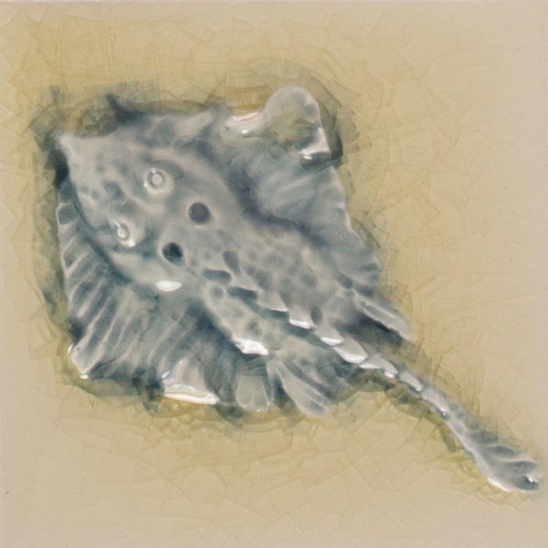 Pratt and Larson Tile 4×4 Marine Skate WW20   Pratt + Larson   