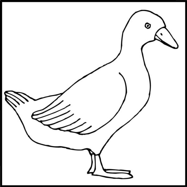Pratt and Larson Tile LJ DDUR   Pratt + Larson   