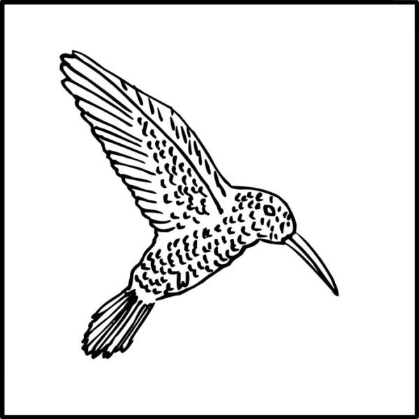 Pratt and Larson Tile LJ DHUMa   Pratt + Larson   