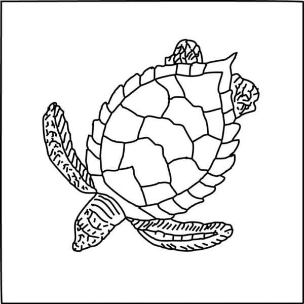 Pratt and Larson Tile LJ DMTU   Pratt + Larson   