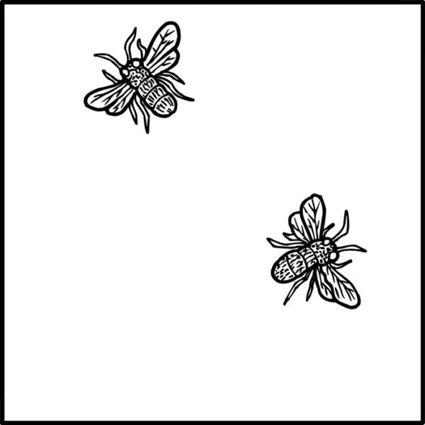 Pratt and Larson Tile LJ EGB2   Pratt + Larson   