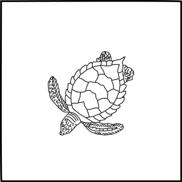 Pratt and Larson Tile LJ EMTU   Pratt + Larson   