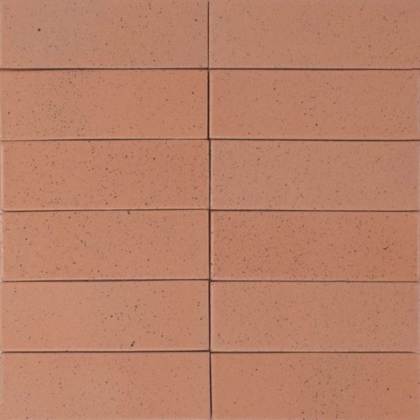 Coral 1200×1200   Pratt + Larson   