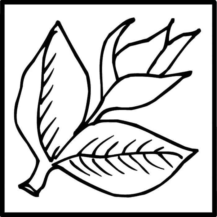 BBF Rose Bud 2×2   Pratt + Larson   
