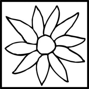 BBF Daisy 2x2