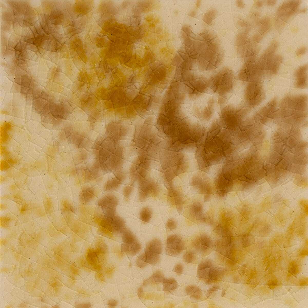 Pratt+LarsonT3Honeycomb1 Pratt + Larson Tortoise Honeycomb T3 Pratt + Larson