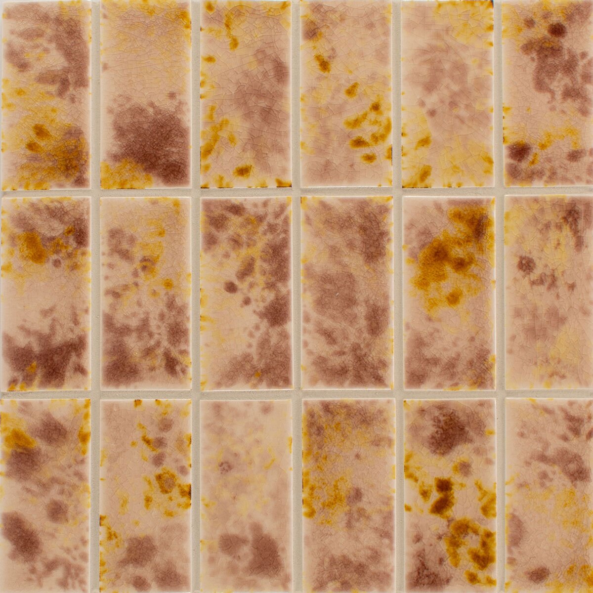 Pratt+LarsonT2CamillaDB15 Pratt + Larson Tortoise Camilla T2 Pratt + Larson