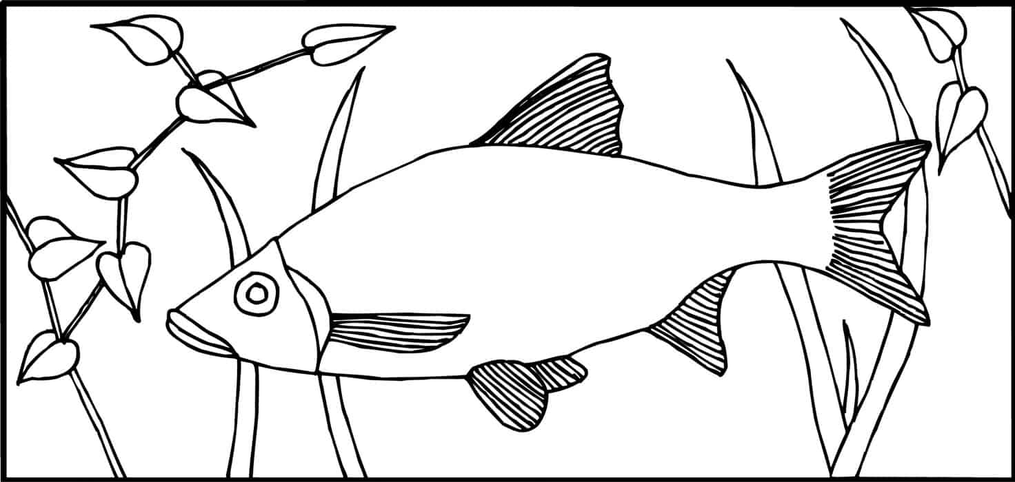 PrattandLarsonTileLJAPFI Pratt + Larson LJA Pond Fish 4×8 Pratt + Larson