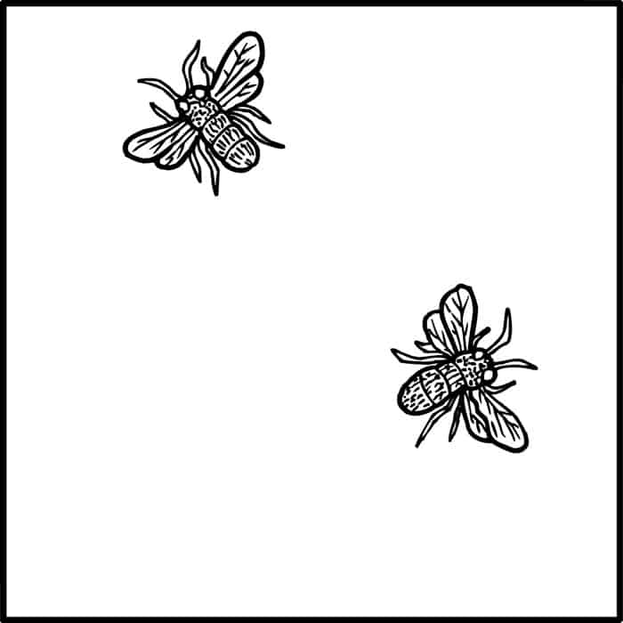 PrattandLarsonTileLJEGB2 Pratt + Larson LJE Two Bees 6×6 Pratt + Larson
