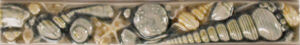 Pratt and Larson Tile 1×8 Shell Liner WW40   Pratt + Larson   