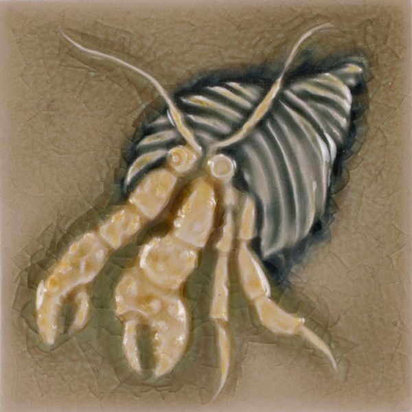 Pratt and Larson Tile 4×4 Marine Hermit Crab WW40   Pratt + Larson   