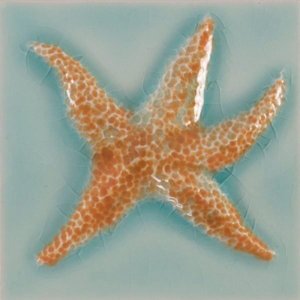 Pratt and Larson Tile 4×4 Marine Starfish WW60   Pratt + Larson   