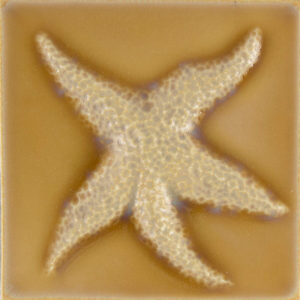 Pratt and Larson Tile 4×4 Starfish C204   Pratt + Larson   