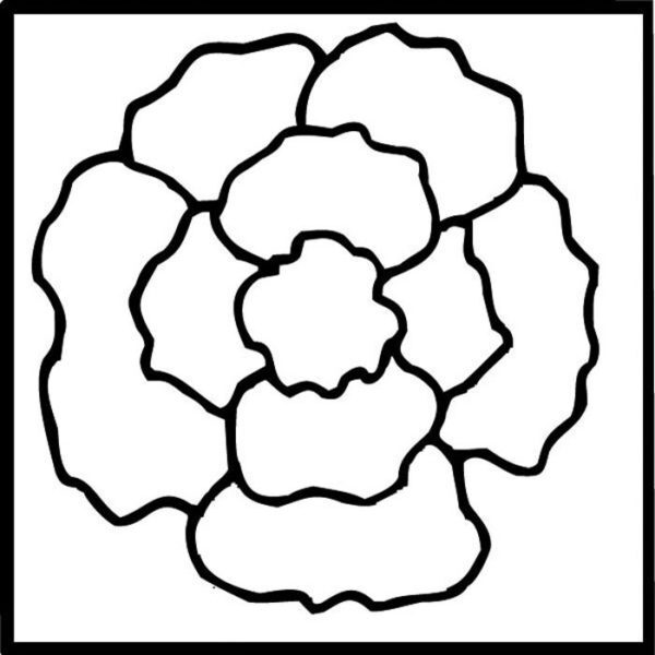 Pratt and Larson Tile BB FPPY   Pratt + Larson   