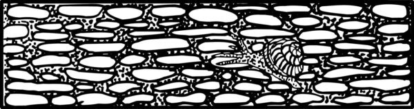 Pratt and Larson Tile LJ BROW   Pratt + Larson   