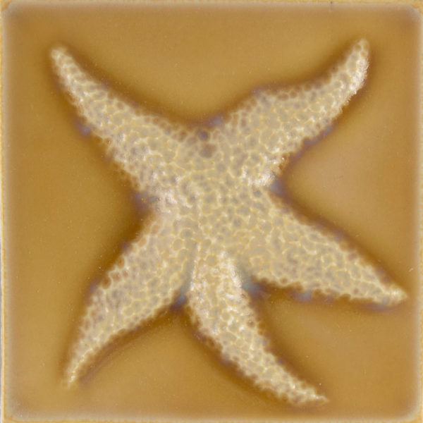 Pratt and Larson Tile 4×4 Starfish C204 Pratt + Larson