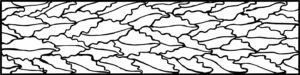 BBB Rose Leaf 2x8