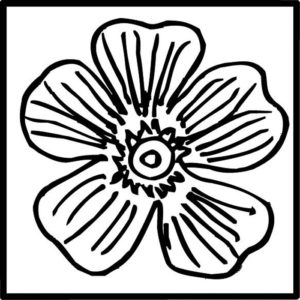 BBF Wild Rose 2x2