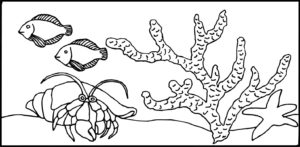 LJA Marine Crab 4x8