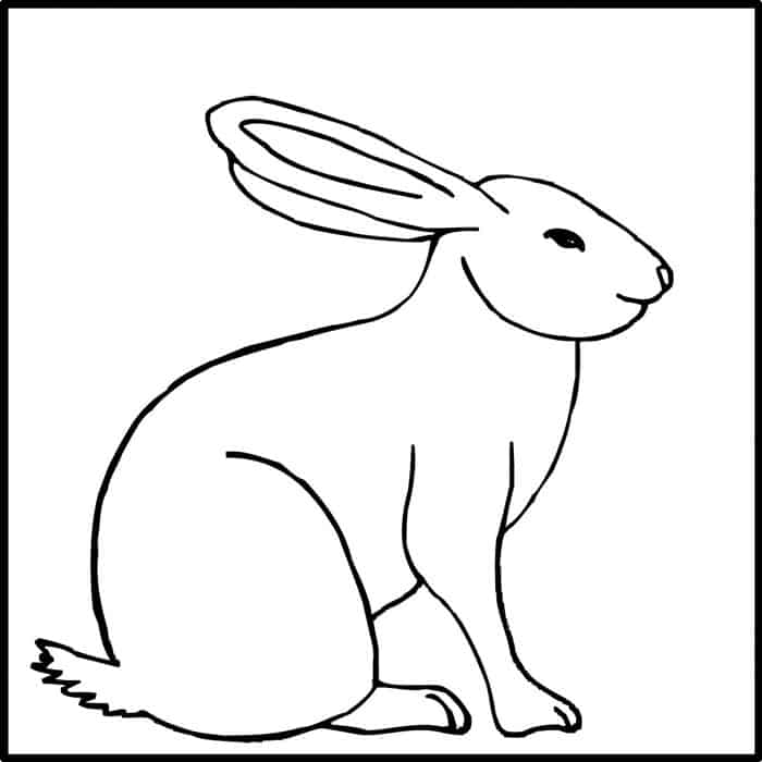 LJD Rabbit 4×4 - Pratt + Larson