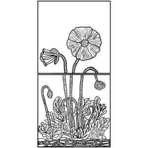 LJ Poppy Panel 6x12 (2 tiles)