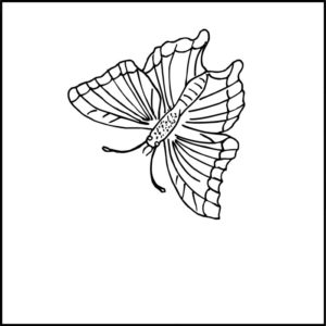 LJE Butterfly 6x6