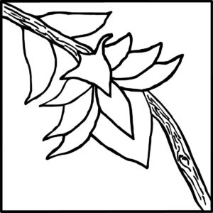 Vine Flower A 4x4