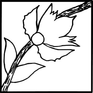 Vine Flower C 4x4