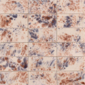 Tortoise Mulberry T1