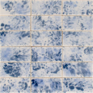 Tortoise Bluebell T13