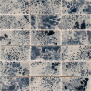 Tortoise Fog Bound T14