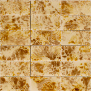 Tortoise Honeycomb T3