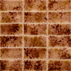 Tortoise Rosewood T5