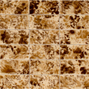 Tortoise Tiger's Eye T8